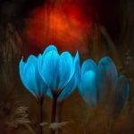 دانلود ریمیکس گفتم واسم از هرچیزی مهمتری یه روز نیاد پا پس بکشی از کیوان حیدری